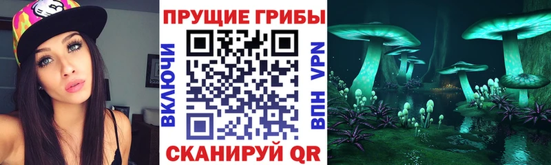 Псилоцибиновые грибы Psilocybe  KRAKEN ссылка  Курганинск  наркотики 